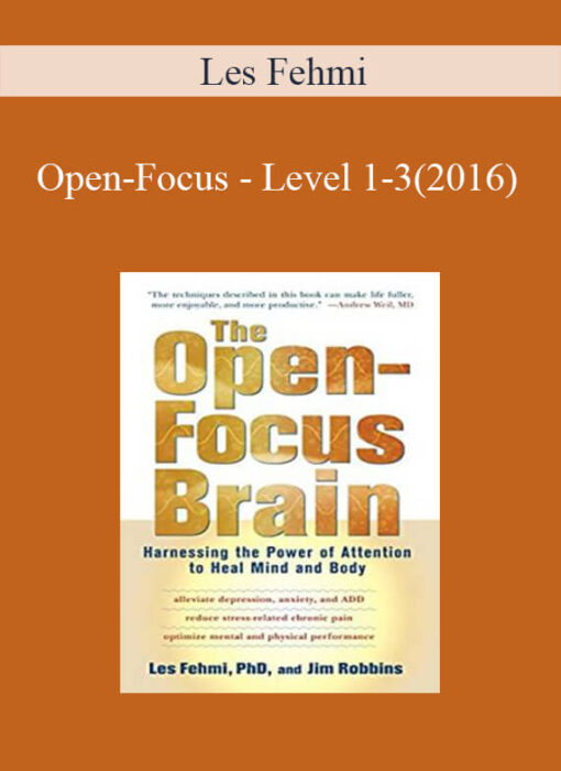 Les Fehmi - Open-Focus - Level 1-3(2016)
